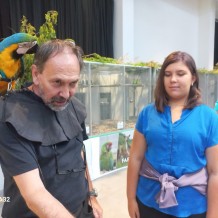 IV.A - Pod křídly exotů