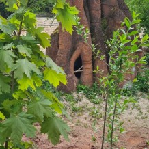 SŠ - ZOO Dvůr Králové