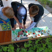 Projektový den Ovečky.
