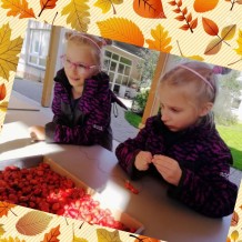 ŠD - Podzimní tvoření