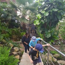 MŠ - Botanická zahrada