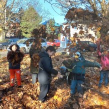 ŠD - Sněžná sova