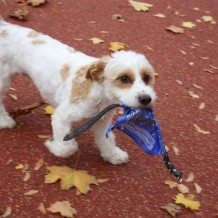 Podzim v naší škole