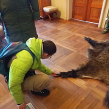 IV. A - Výlet do Chlumce nad Cidlinou na zámek Karlova Koruna