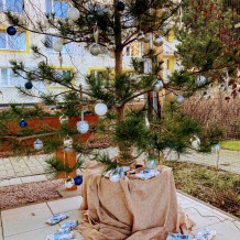 ŠD - Vánoční besídka