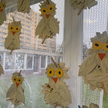 ŠD - Sněžná sova