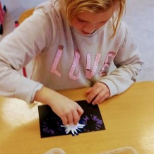 ŠD - Ohňostroj přání pro nový rok