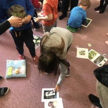 MŠ - OVOCE A ZELENINA