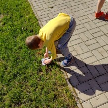 Projektový den Ovečky.