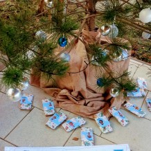 ŠD - Vánoční besídka