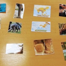 ŠD - Asijská zvířata hravě