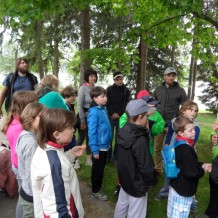 Medlov - ozdravný pobyt II