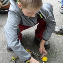 Medlov - ozdravný pobyt II