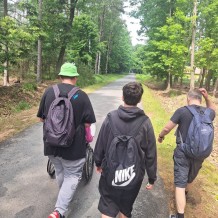 Hradecké lesy II.A+III.A