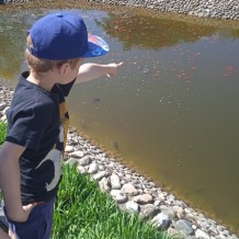 MŠ - Botanická zahrada