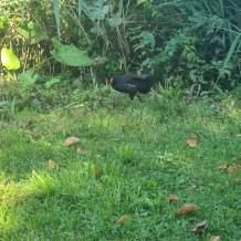 SŠ - Dožínky 2025