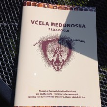 Příměstský pohádkový tábor – „ŘÍŠE POHÁDEK“