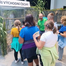 IV.A - Pod křídly exotů