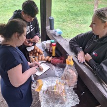 Hradecké lesy II.A+III.A