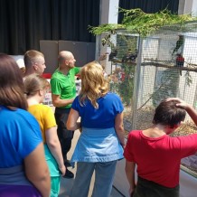 IV.A - Pod křídly exotů